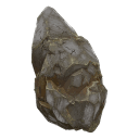 Fossil