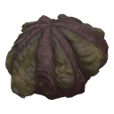 Gills