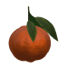 Fresh Mandarin