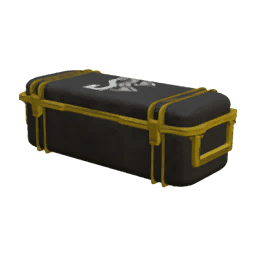 Оружейный кейс