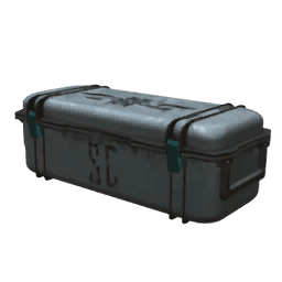 Кейс с обликами «Аномальной Зимы»