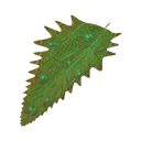 Кислотная крапива