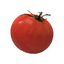 Помидор