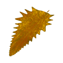 Янтарная полынь