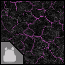 Краска «Мутировавшая оболочка»