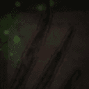 «Хранитель»