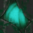 «Хранитель Оазиса»