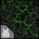 Краска «Токсичная коррозия»
