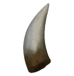 Царский клык